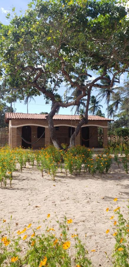 Pousada Vila Mangue Seco Jijoca de Jericoacoara Eksteriør bilde